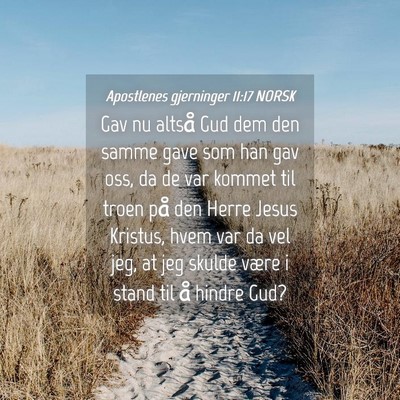 Picture 04 - Apostlenes gjerninger 11:17 NORSK - Gav nu altså Gud dem den samme gave som han gav - Bible Verse Picture