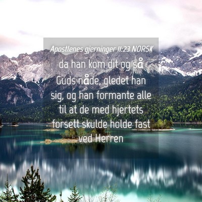 Picture 04 - Apostlenes gjerninger 11:23 NORSK - da han kom dit og så Guds nåde, gledet han sig, - Bible Verse Picture