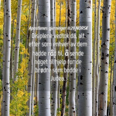 Picture 04 - Apostlenes gjerninger 11:29 NORSK - Disiplene vedtok da, alt efter som enhver av dem - Bible Verse Picture