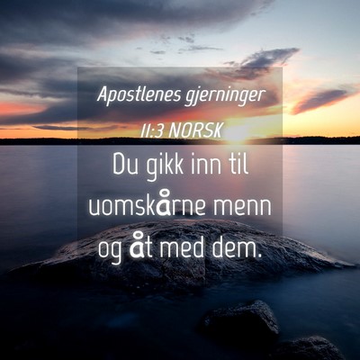 Picture 04 - Apostlenes gjerninger 11:3 NORSK - Du gikk inn til uomskårne menn og åt med - Bible Verse Picture