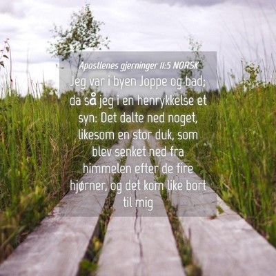 Picture 04 - Apostlenes gjerninger 11:5 NORSK - Jeg var i byen Joppe og bad; da så jeg i en - Bible Verse Picture