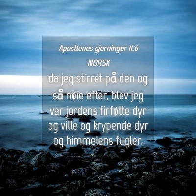 Picture 04 - Apostlenes gjerninger 11:6 NORSK - da jeg stirret på den og så nøie efter, blev - Bible Verse Picture