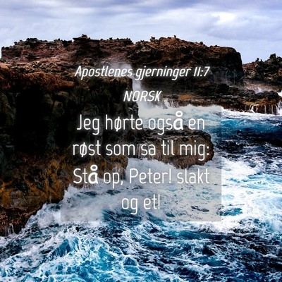 Picture 04 - Apostlenes gjerninger 11:7 NORSK - Jeg hørte også en røst som sa til mig: Stå - Bible Verse Picture