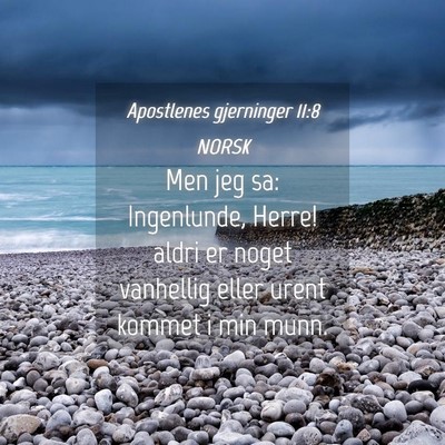 Picture 04 - Apostlenes gjerninger 11:8 NORSK - Men jeg sa: Ingenlunde, Herre! aldri er noget - Bible Verse Picture