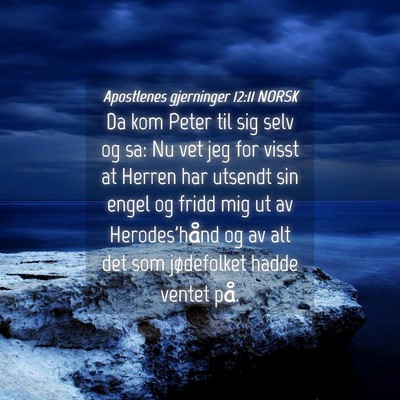 Picture 04 - Apostlenes gjerninger 12:11 NORSK - Da kom Peter til sig selv og sa: Nu vet jeg for - Bible Verse Picture