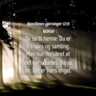 Picture 04 - Apostlenes gjerninger 12:15 NORSK - De sa til henne: Du er fra sans og samling. Men - Bible Verse Picture