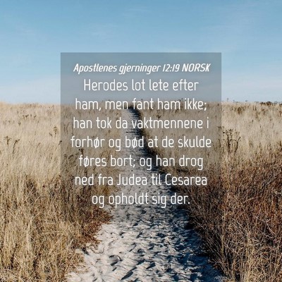 Picture 04 - Apostlenes gjerninger 12:19 NORSK - Herodes lot lete efter ham, men fant ham ikke; - Bible Verse Picture