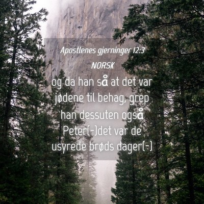 Picture 04 - Apostlenes gjerninger 12:3 NORSK - og da han så at det var jødene til behag, grep - Bible Verse Picture