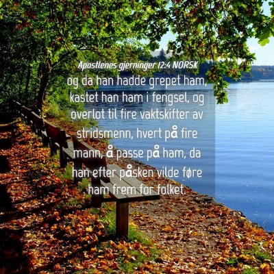 Picture 04 - Apostlenes gjerninger 12:4 NORSK - og da han hadde grepet ham, kastet han ham i - Bible Verse Picture