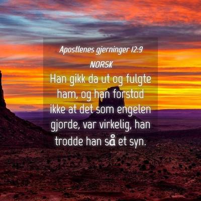 Picture 04 - Apostlenes gjerninger 12:9 NORSK - Han gikk da ut og fulgte ham, og han forstod ikke - Bible Verse Picture