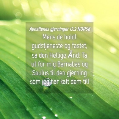 Picture 04 - Apostlenes gjerninger 13:2 NORSK - Mens de holdt gudstjeneste og fastet, sa den - Bible Verse Picture