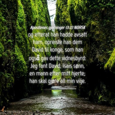 Picture 04 - Apostlenes gjerninger 13:22 NORSK - og efterat han hadde avsatt ham, opreiste han dem - Bible Verse Picture