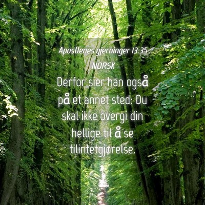 Picture 04 - Apostlenes gjerninger 13:35 NORSK - Derfor sier han også på et annet sted: Du skal - Bible Verse Picture