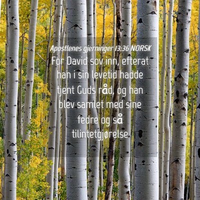 Picture 04 - Apostlenes gjerninger 13:36 NORSK - For David sov inn, efterat han i sin levetid - Bible Verse Picture