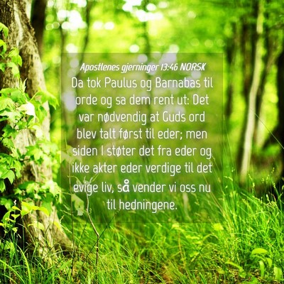 Picture 04 - Apostlenes gjerninger 13:46 NORSK - Da tok Paulus og Barnabas til orde og sa dem rent - Bible Verse Picture