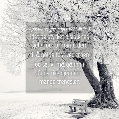 Picture 04 - Apostlenes gjerninger 14:22 NORSK - idet de styrket disiplenes sjeler og formante dem - Bible Verse Picture