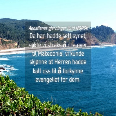 Picture 04 - Apostlenes gjerninger 16:10 NORSK - Da han hadde sett synet, søkte vi straks å dra - Bible Verse Picture