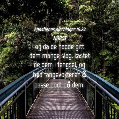 Picture 04 - Apostlenes gjerninger 16:23 NORSK - og da de hadde gitt dem mange slag, kastet de dem - Bible Verse Picture