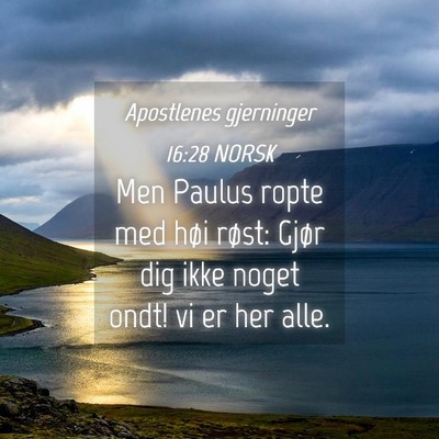 Picture 04 - Apostlenes gjerninger 16:28 NORSK - Men Paulus ropte med høi røst: Gjør dig ikke - Bible Verse Picture