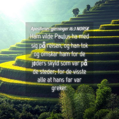 Picture 04 - Apostlenes gjerninger 16:3 NORSK - Ham vilde Paulus ha med sig på reisen, og han - Bible Verse Picture