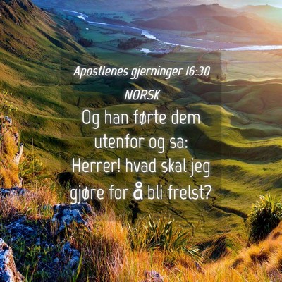 Picture 04 - Apostlenes gjerninger 16:30 NORSK - Og han førte dem utenfor og sa: Herrer! hvad - Bible Verse Picture