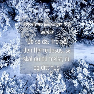 Picture 04 - Apostlenes gjerninger 16:31 NORSK - De sa da: Tro på den Herre Jesus, sa skal du bli - Bible Verse Picture