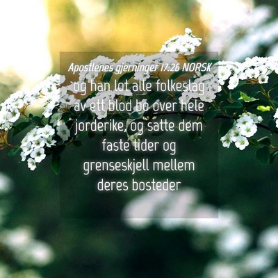 Picture 04 - Apostlenes gjerninger 17:26 NORSK - og han lot alle folkeslag av ett blod bo over - Bible Verse Picture