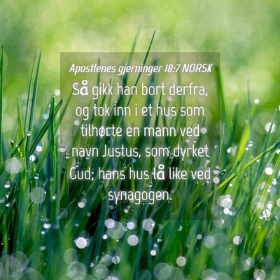 Picture 04 - Apostlenes gjerninger 18:7 NORSK - Så gikk han bort derfra, og tok inn i et hus som - Bible Verse Picture