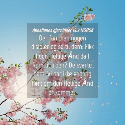 Picture 04 - Apostlenes gjerninger 19:2 NORSK - Der fant han nogen disipler og sa til dem: Fikk I - Bible Verse Picture