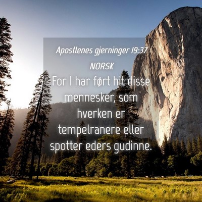 Picture 04 - Apostlenes gjerninger 19:37 NORSK - For I har ført hit disse mennesker, som hverken - Bible Verse Picture
