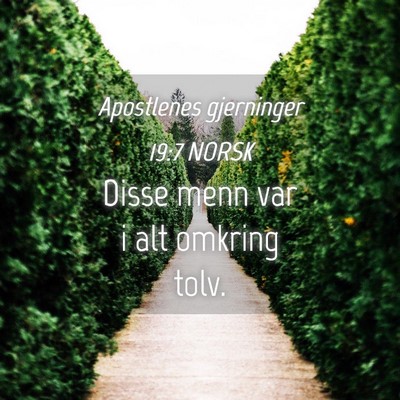 Picture 04 - Apostlenes gjerninger 19:7 NORSK - Disse menn var i alt omkring - Bible Verse Picture