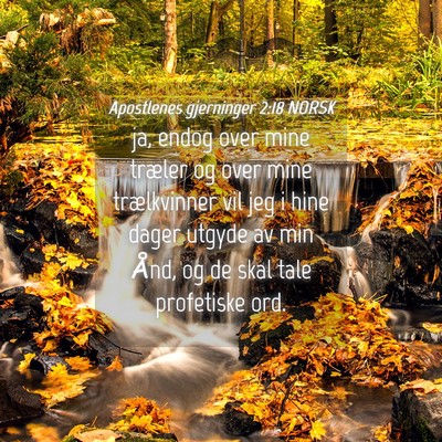 Picture 04 - Apostlenes gjerninger 2:18 NORSK - ja, endog over mine træler og over mine - Bible Verse Picture