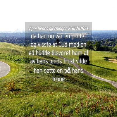 Picture 04 - Apostlenes gjerninger 2:30 NORSK - da han nu var en profet og visste at Gud med en - Bible Verse Picture