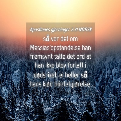 Picture 04 - Apostlenes gjerninger 2:31 NORSK - så var det om Messias'opstandelse han fremsynt - Bible Verse Picture