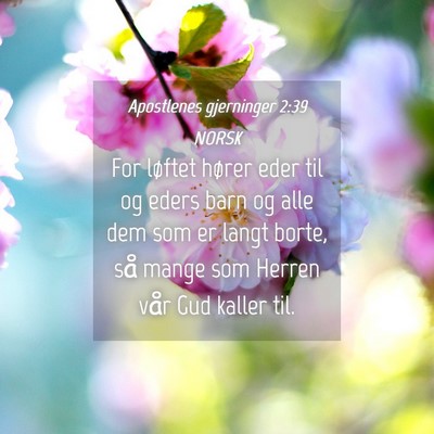 Picture 04 - Apostlenes gjerninger 2:39 NORSK - For løftet hører eder til og eders barn og alle - Bible Verse Picture