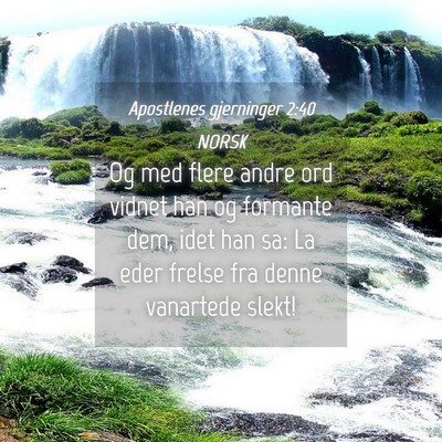 Picture 04 - Apostlenes gjerninger 2:40 NORSK - Og med flere andre ord vidnet han og formante - Bible Verse Picture