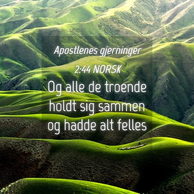 Picture 04 - Apostlenes gjerninger 2:44 NORSK - Og alle de troende holdt sig sammen og hadde alt - Bible Verse Picture