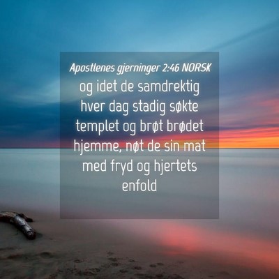 Picture 04 - Apostlenes gjerninger 2:46 NORSK - og idet de samdrektig hver dag stadig søkte - Bible Verse Picture