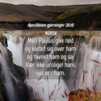 Picture 04 - Apostlenes gjerninger 20:10 NORSK - Men Paulus gikk ned og kastet sig over ham og - Bible Verse Picture