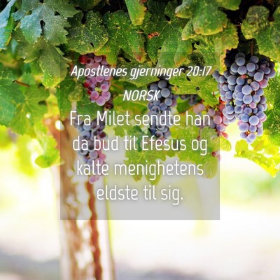 Picture 04 - Apostlenes gjerninger 20:17 NORSK - Fra Milet sendte han da bud til Efesus og kalte - Bible Verse Picture