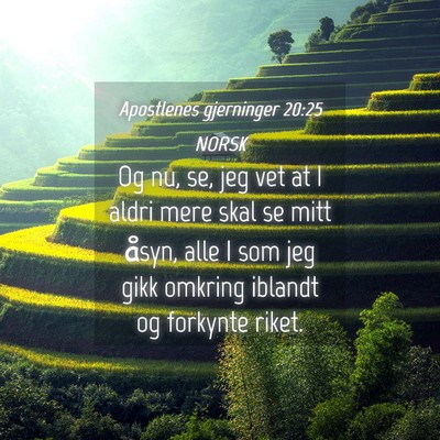 Picture 04 - Apostlenes gjerninger 20:25 NORSK - Og nu, se, jeg vet at I aldri mere skal se mitt - Bible Verse Picture