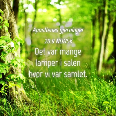 Picture 04 - Apostlenes gjerninger 20:8 NORSK - Det var mange lamper i salen hvor vi var - Bible Verse Picture