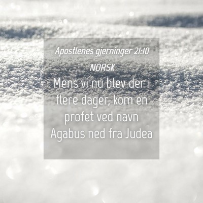 Picture 04 - Apostlenes gjerninger 21:10 NORSK - Mens vi nu blev der i flere dager, kom en profet - Bible Verse Picture