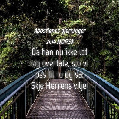Picture 04 - Apostlenes gjerninger 21:14 NORSK - Da han nu ikke lot sig overtale, slo vi oss til - Bible Verse Picture