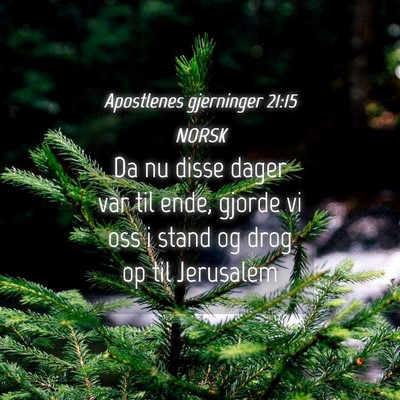 Picture 04 - Apostlenes gjerninger 21:15 NORSK - Da nu disse dager var til ende, gjorde vi oss i - Bible Verse Picture