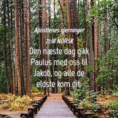 Picture 04 - Apostlenes gjerninger 21:18 NORSK - Den næste dag gikk Paulus med oss til Jakob, og - Bible Verse Picture