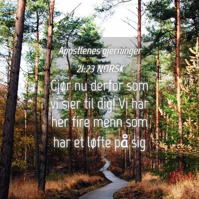 Picture 04 - Apostlenes gjerninger 21:23 NORSK - Gjør nu derfor som vi sier til dig! Vi har her - Bible Verse Picture
