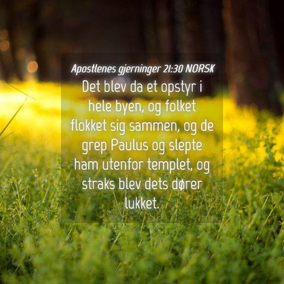 Picture 04 - Apostlenes gjerninger 21:30 NORSK - Det blev da et opstyr i hele byen, og folket - Bible Verse Picture