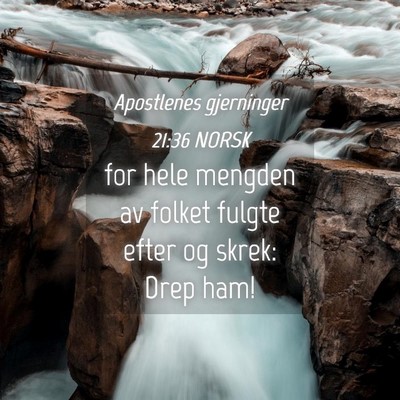 Picture 04 - Apostlenes gjerninger 21:36 NORSK - for hele mengden av folket fulgte efter og skrek: - Bible Verse Picture