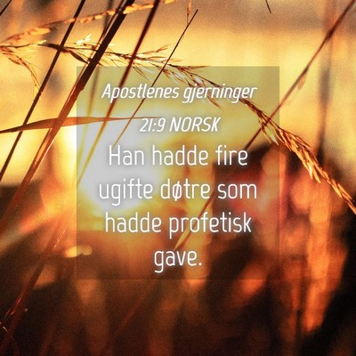 Picture 04 - Apostlenes gjerninger 21:9 NORSK - Han hadde fire ugifte døtre som hadde profetisk - Bible Verse Picture